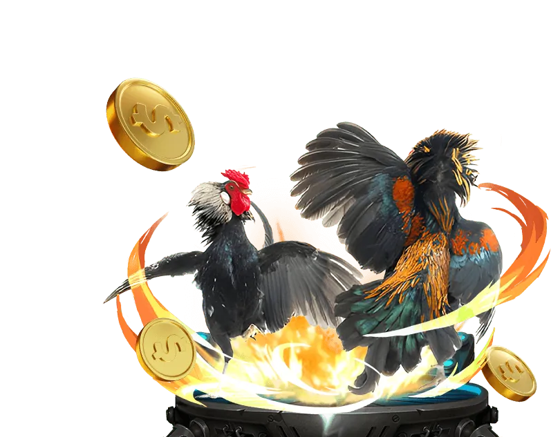 Cá cược bóng đá MCW77