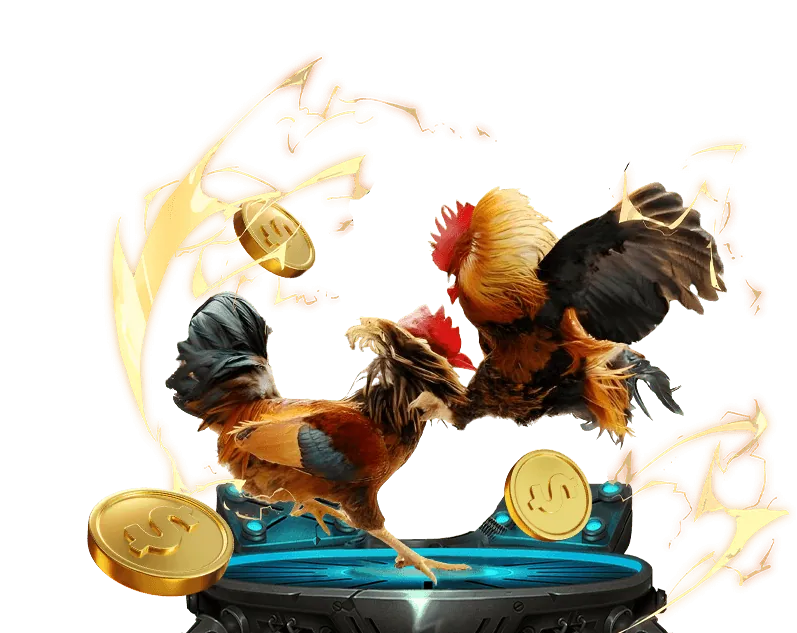 Tổng quan cá cược thể thao MCW77